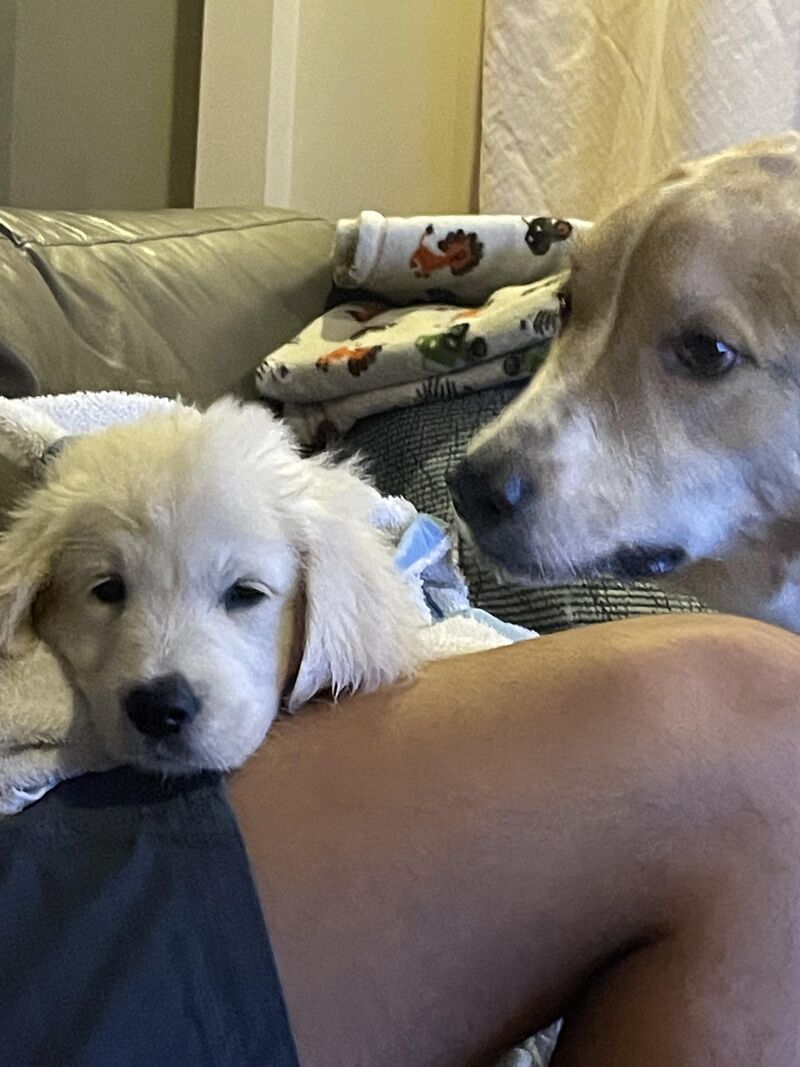 When she was about 11 weeks old