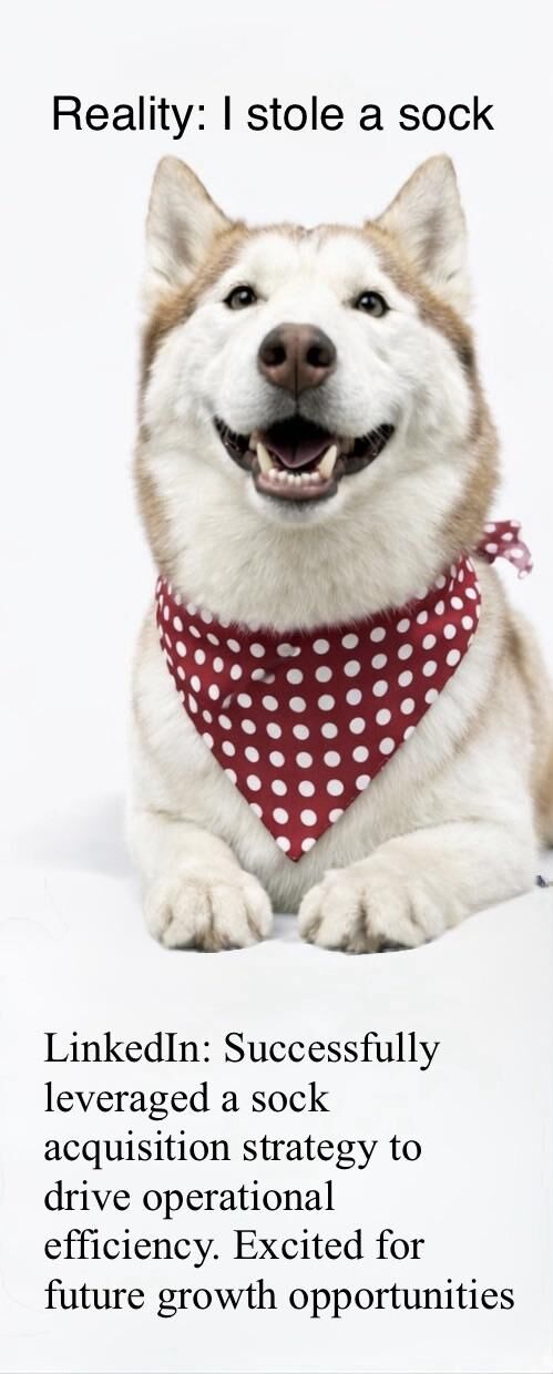 If my dog applied for a corporate job