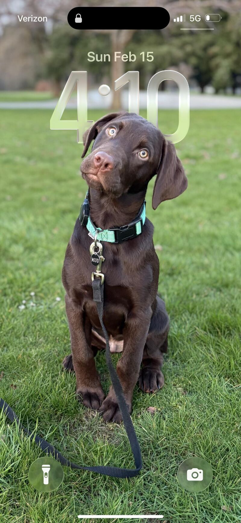 What’s your wallpaper? ❤️