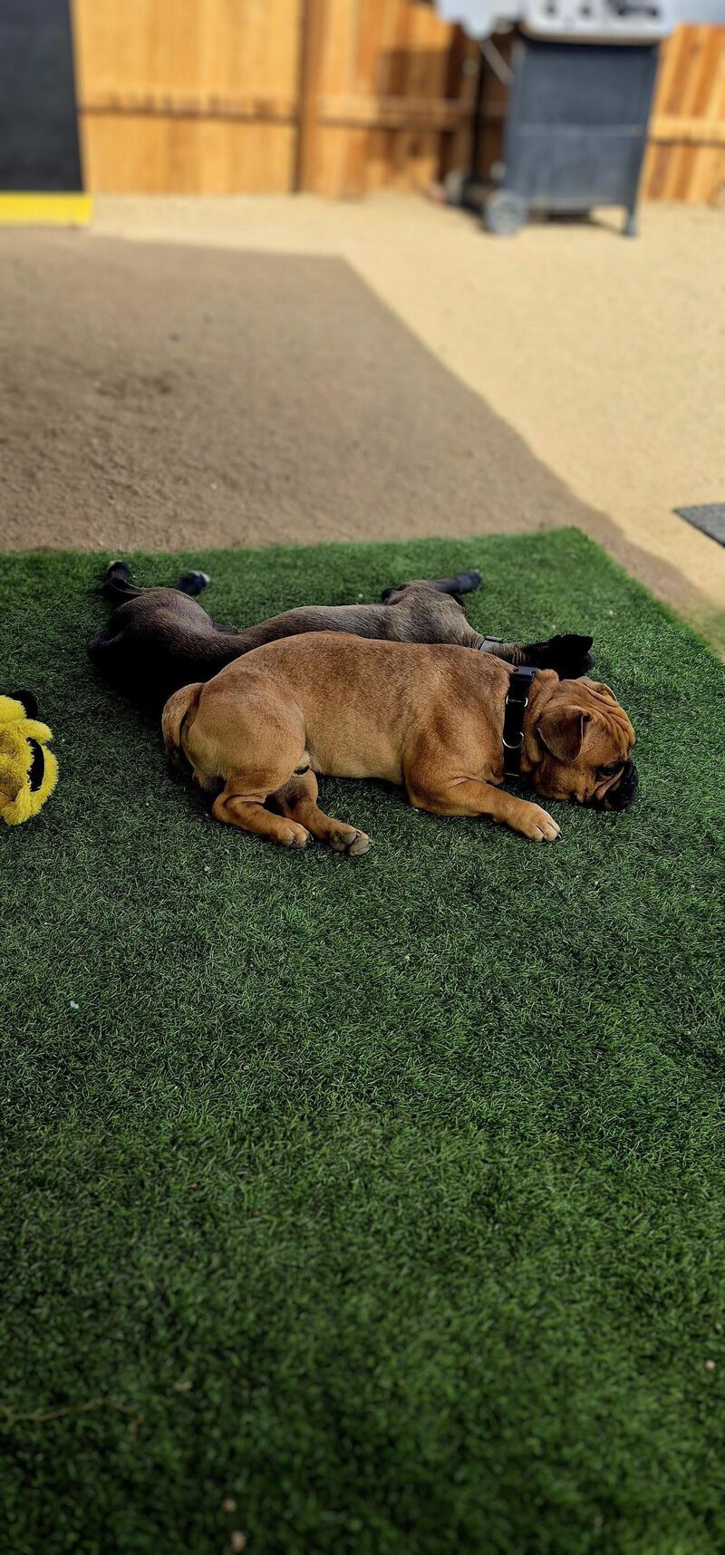 They told me that they don't work on Sundays 😂😂