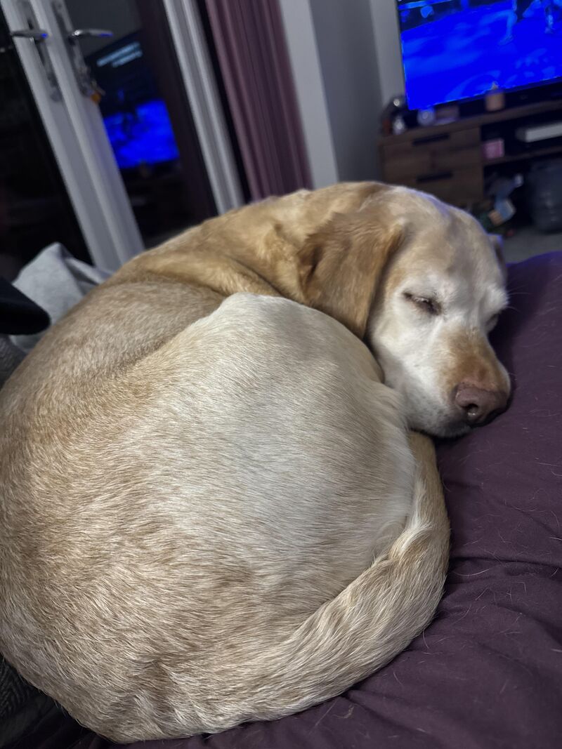 She just makes me so happy