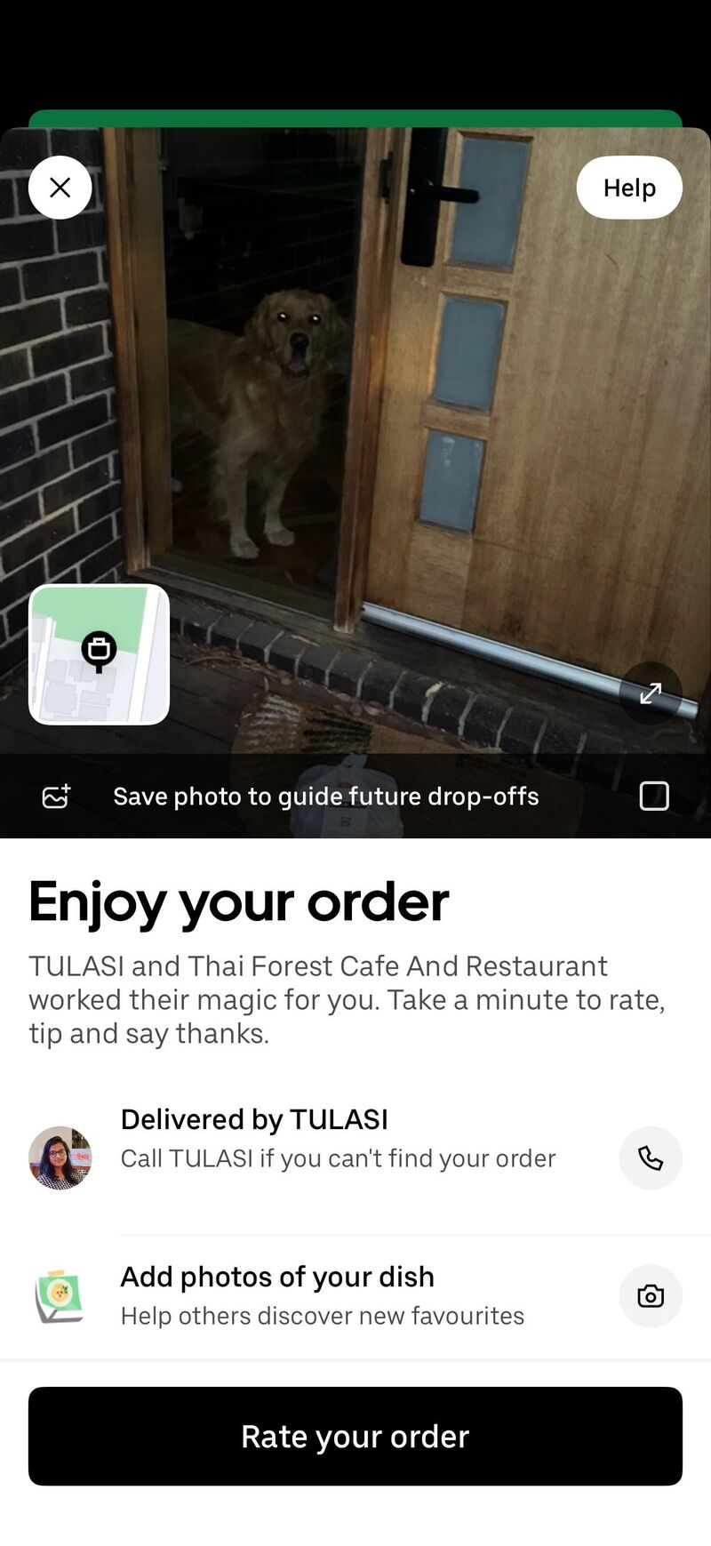 Uber Eats Golden Retriever