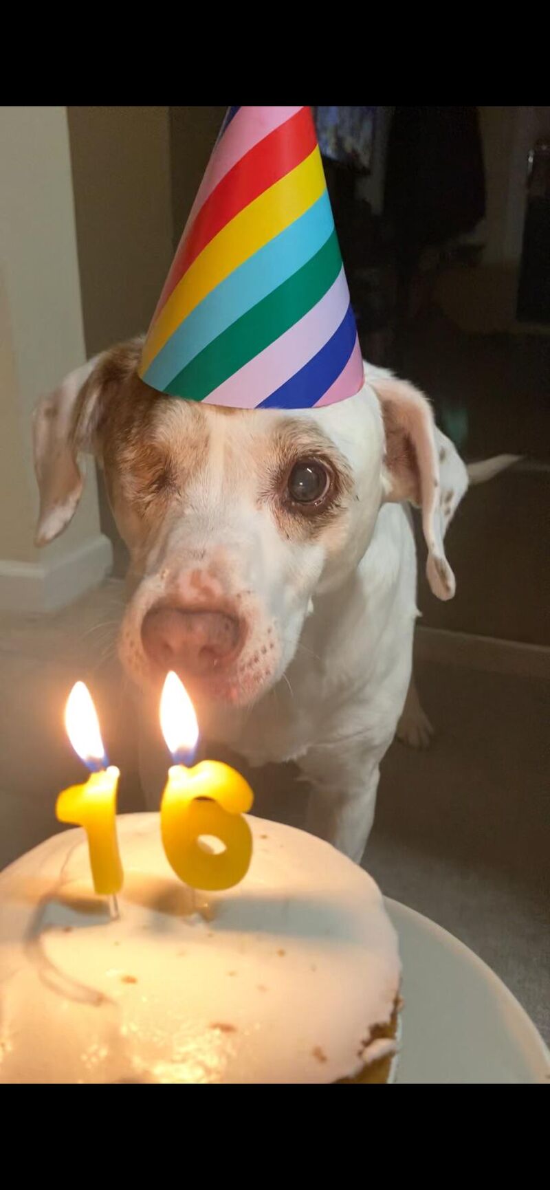 Lil lady turned 16!