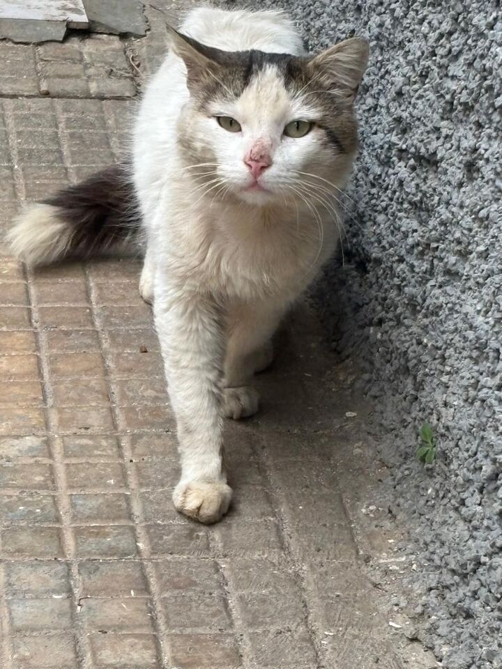 Found a new friend today. He might look tough, but he's a total sweetheart.