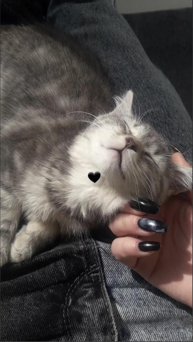 Soaking up every ray of sunshine.🥰🌞