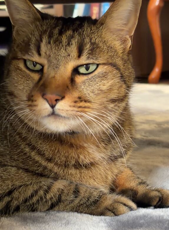 He looks like he knows every secret of the universe.