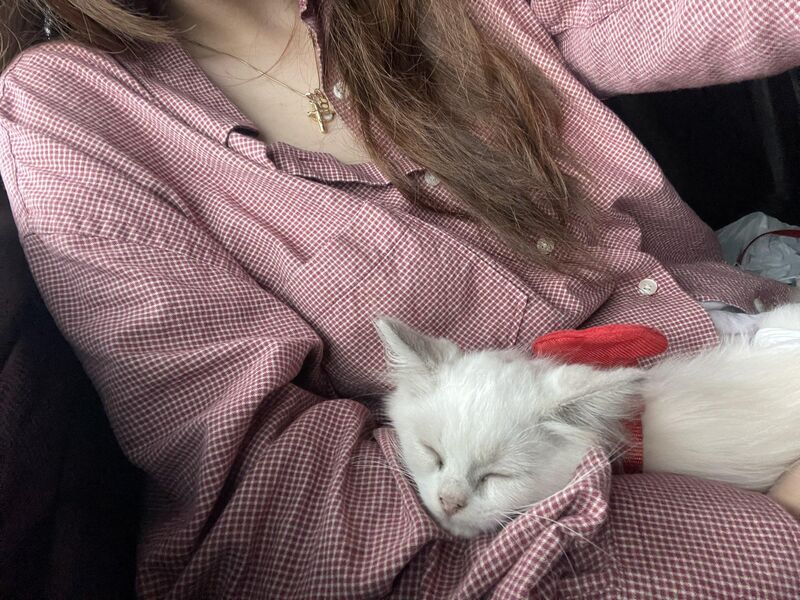 Capturing a special moment