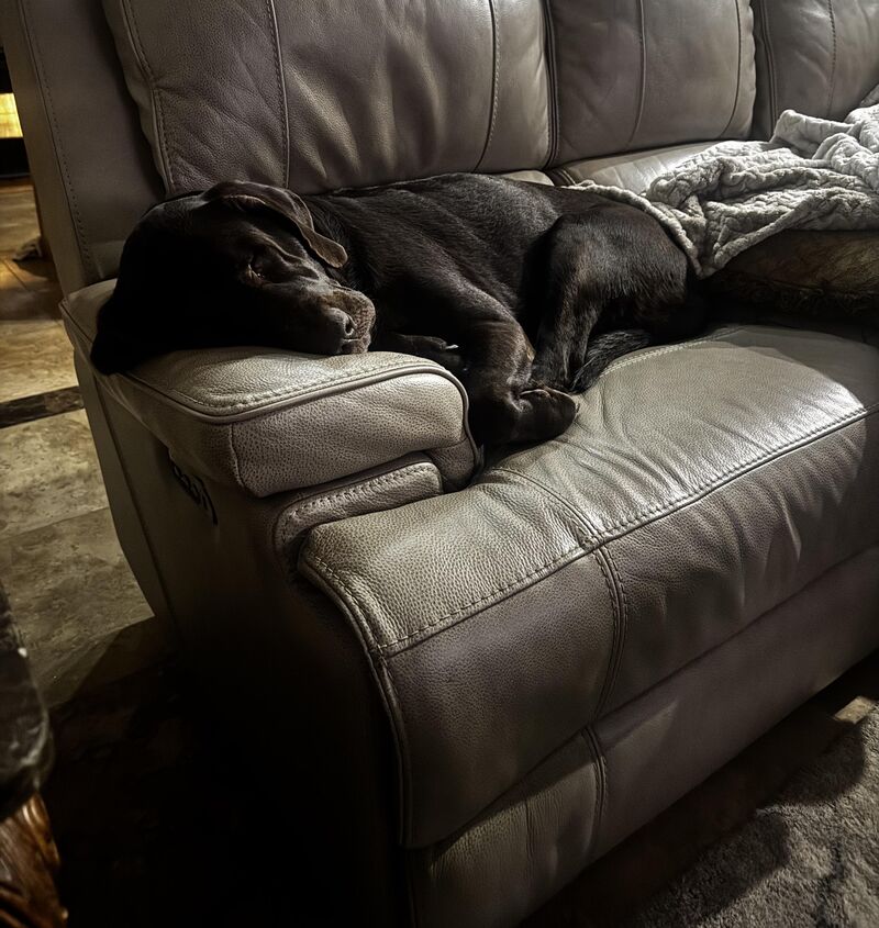 It's my spot now! #socute