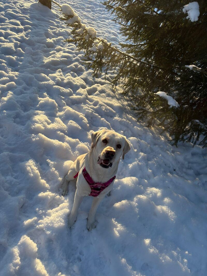 He is special in so many ways