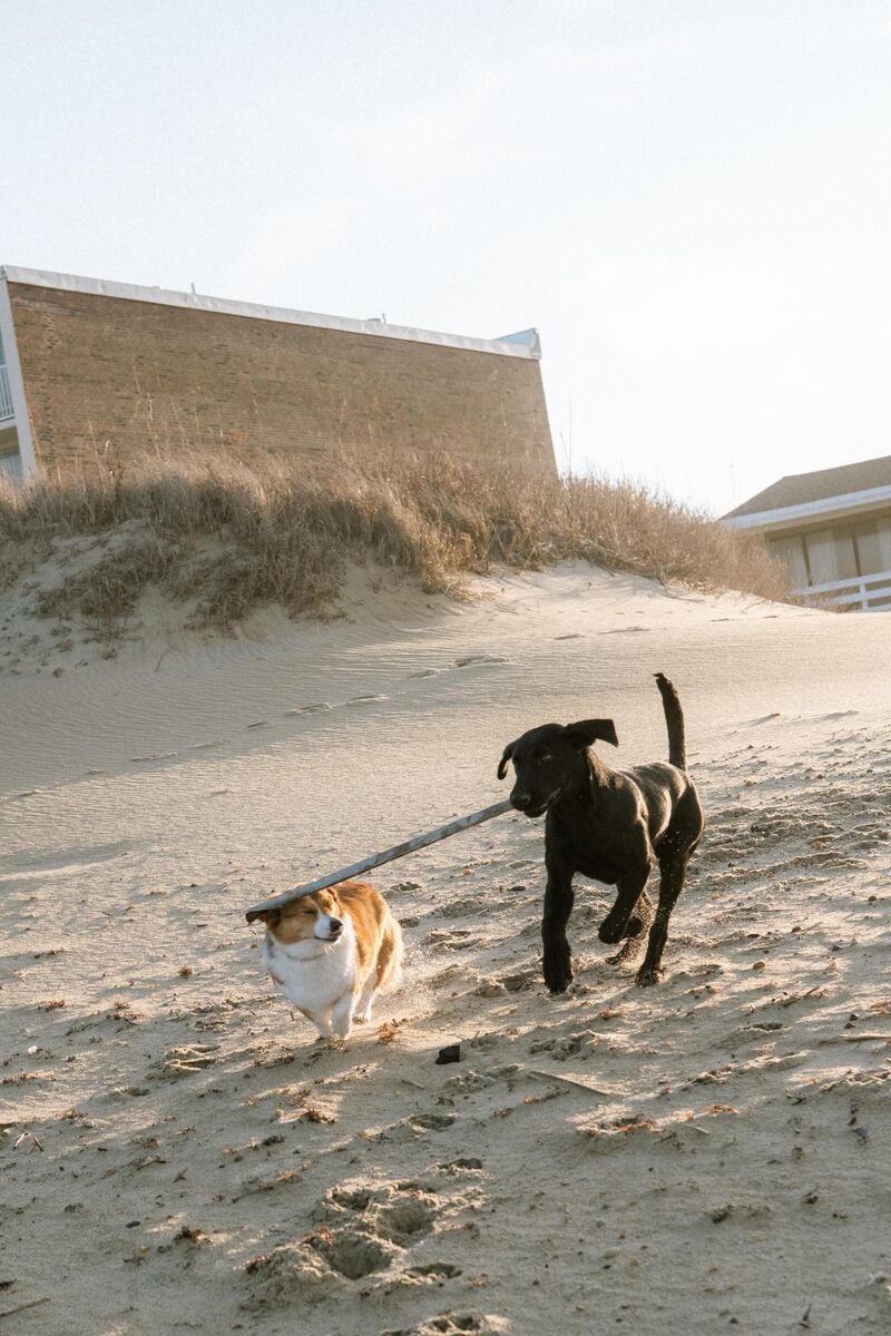 Little brothers are annoying!