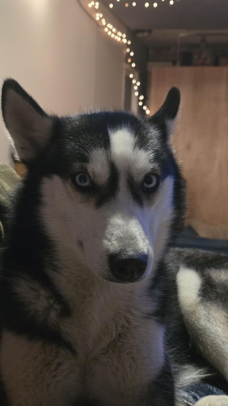 Is this I'm judging you with every fiber of my being?