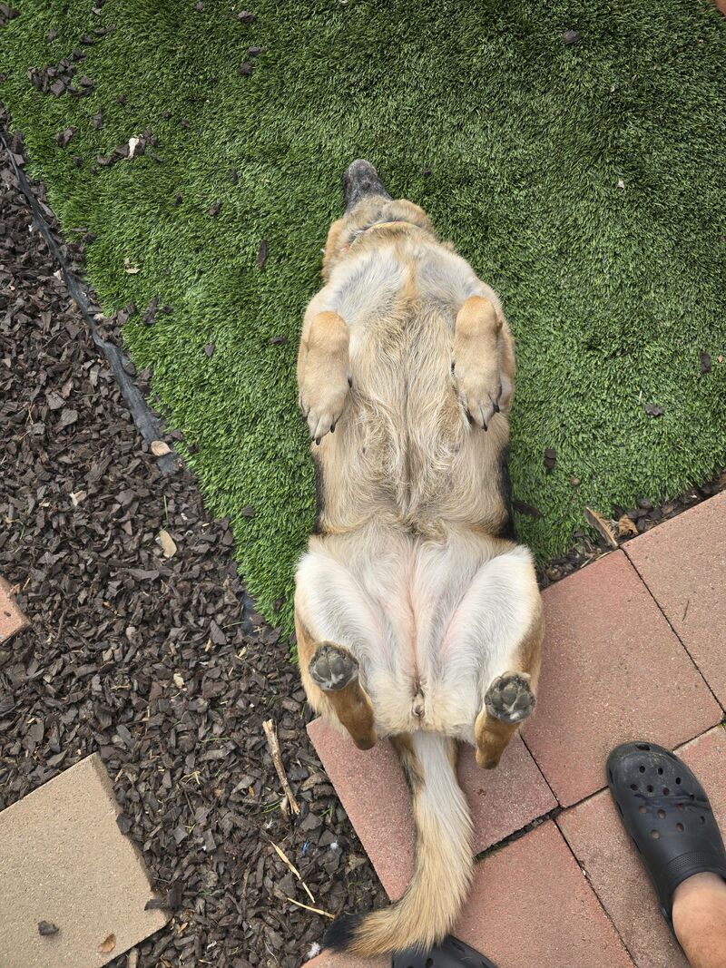 Where is the factory reset?