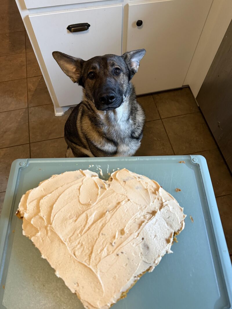 Made a heart cake for my valentine yesterday