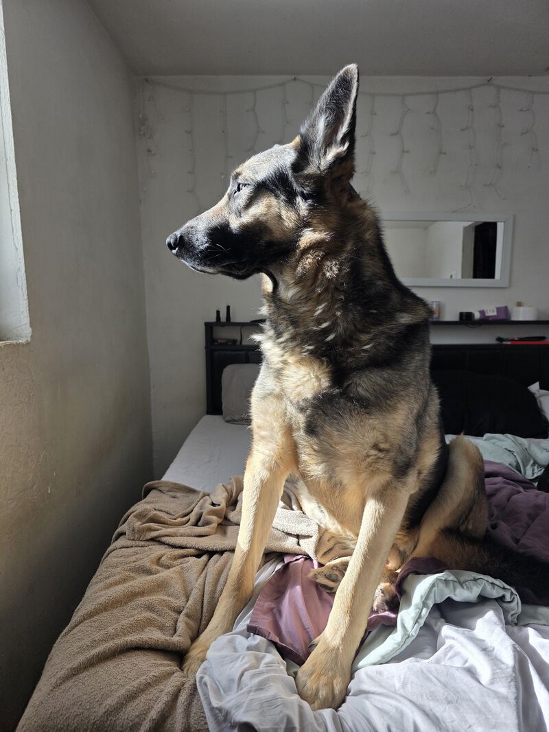 My big, beautiful boy.