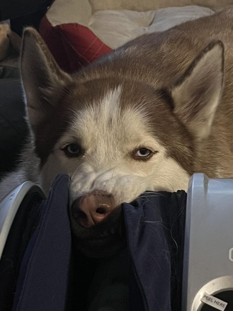 My beautiful Valentine