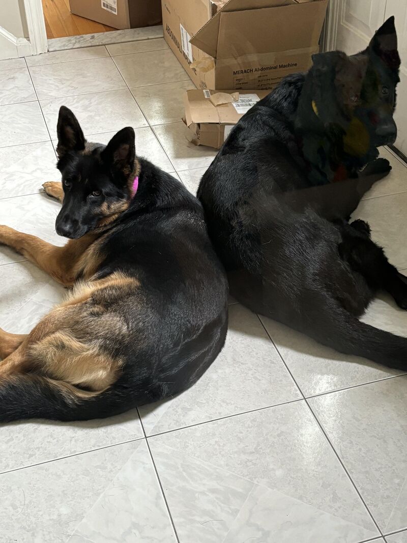 Pray for me… it’s bath day and I have two unwilling participants.