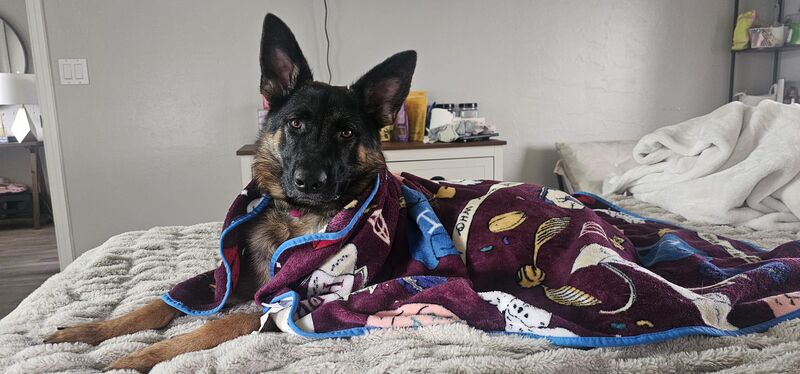 10 month old, struggling with food