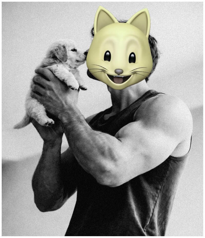 From palm-sized fluff to full-time heart thief. This was Zeus’ origin story.