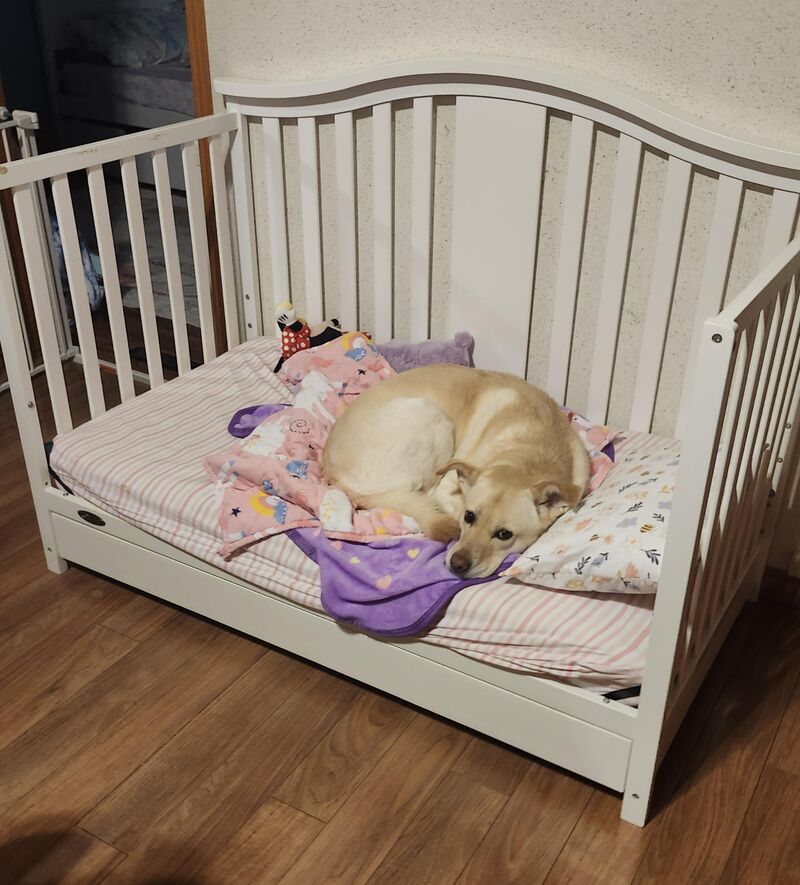 9 years old but still my baby girl, also confused about what is her bed