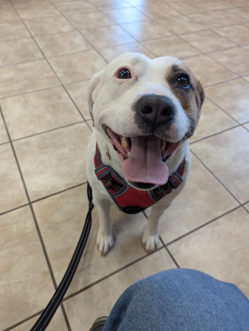 Serena loves meeting people