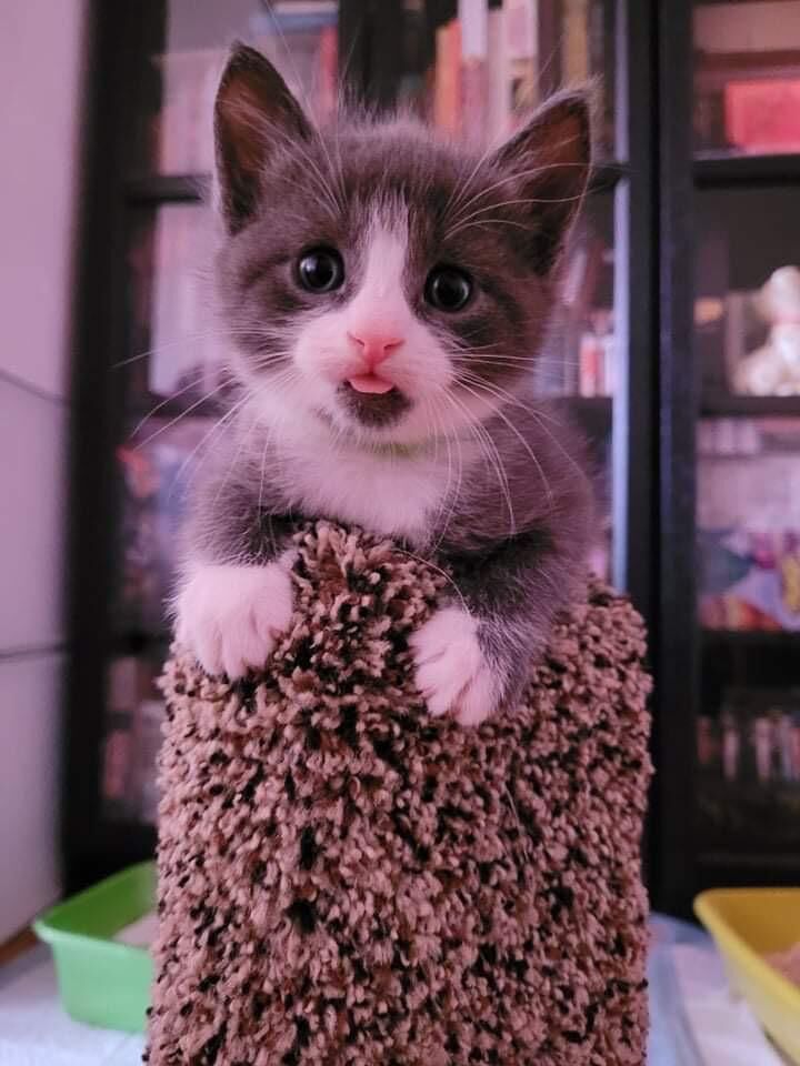 My sweet little baby