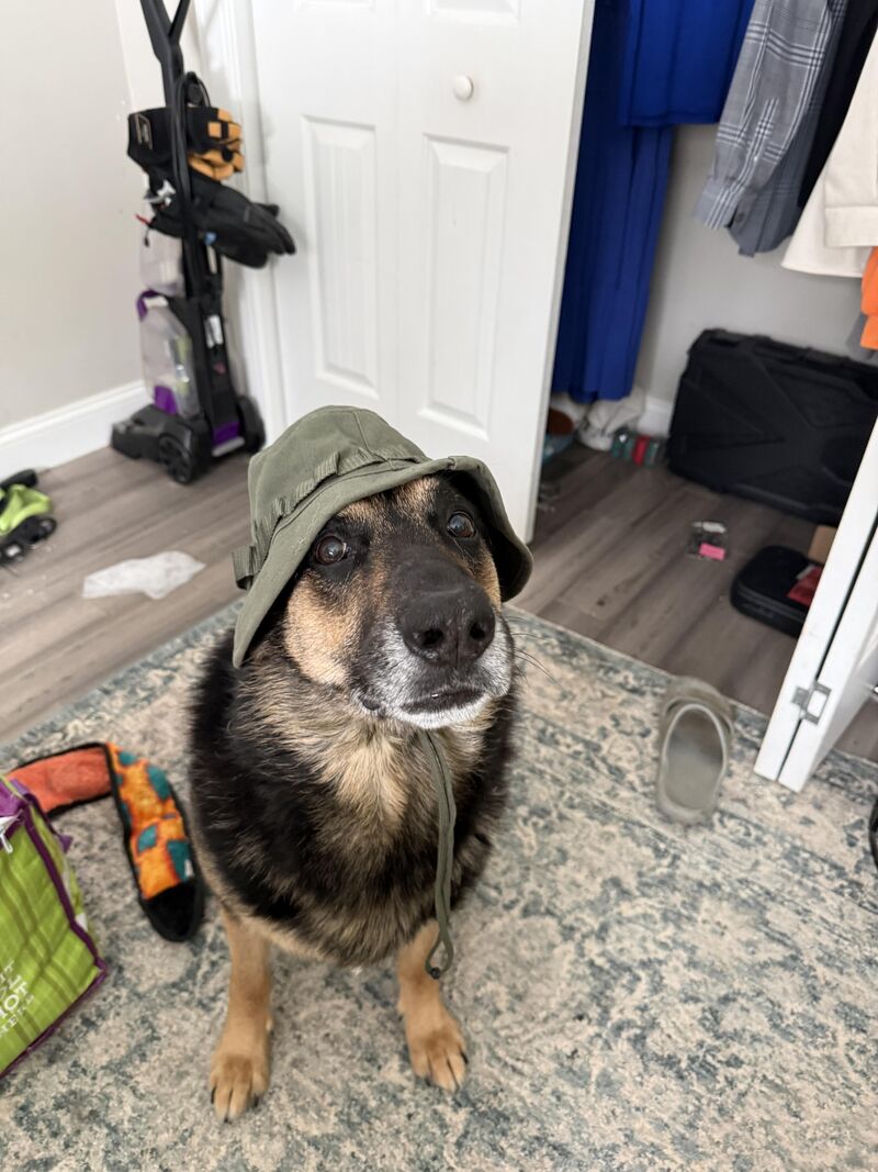 Max is ready for an adventure!