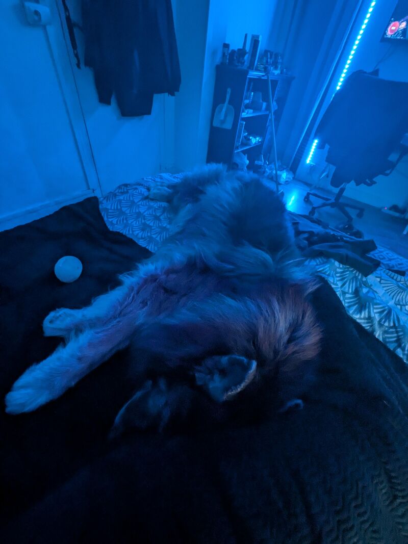 Guys I'm not able to move what should I do