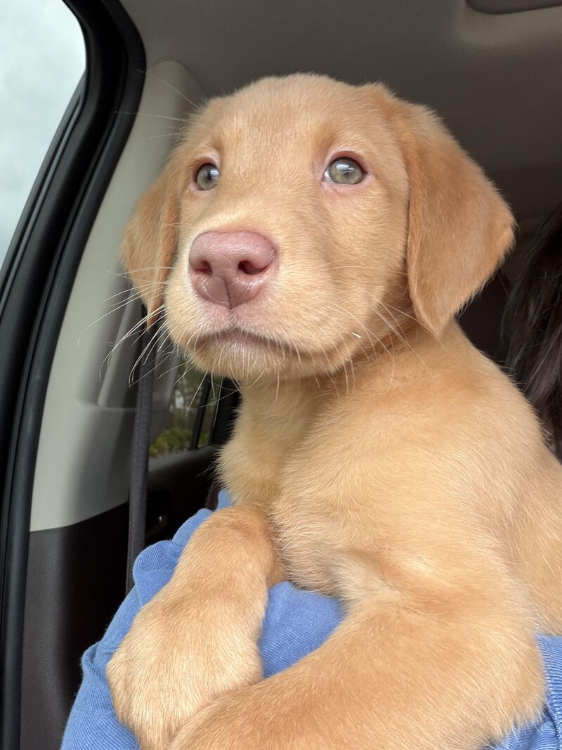 NEW BB WHO DIS! 😍😍😍😍