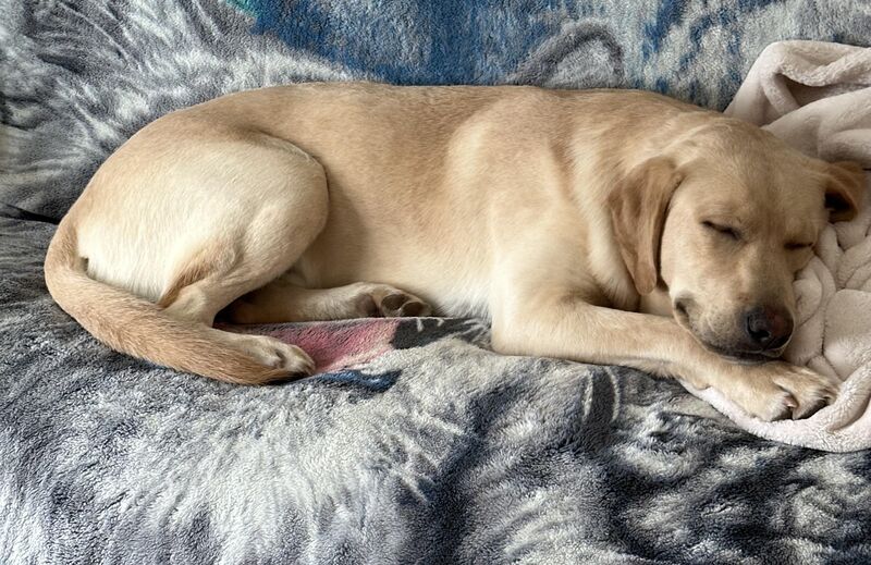 Let’s see those sleepy happy guys