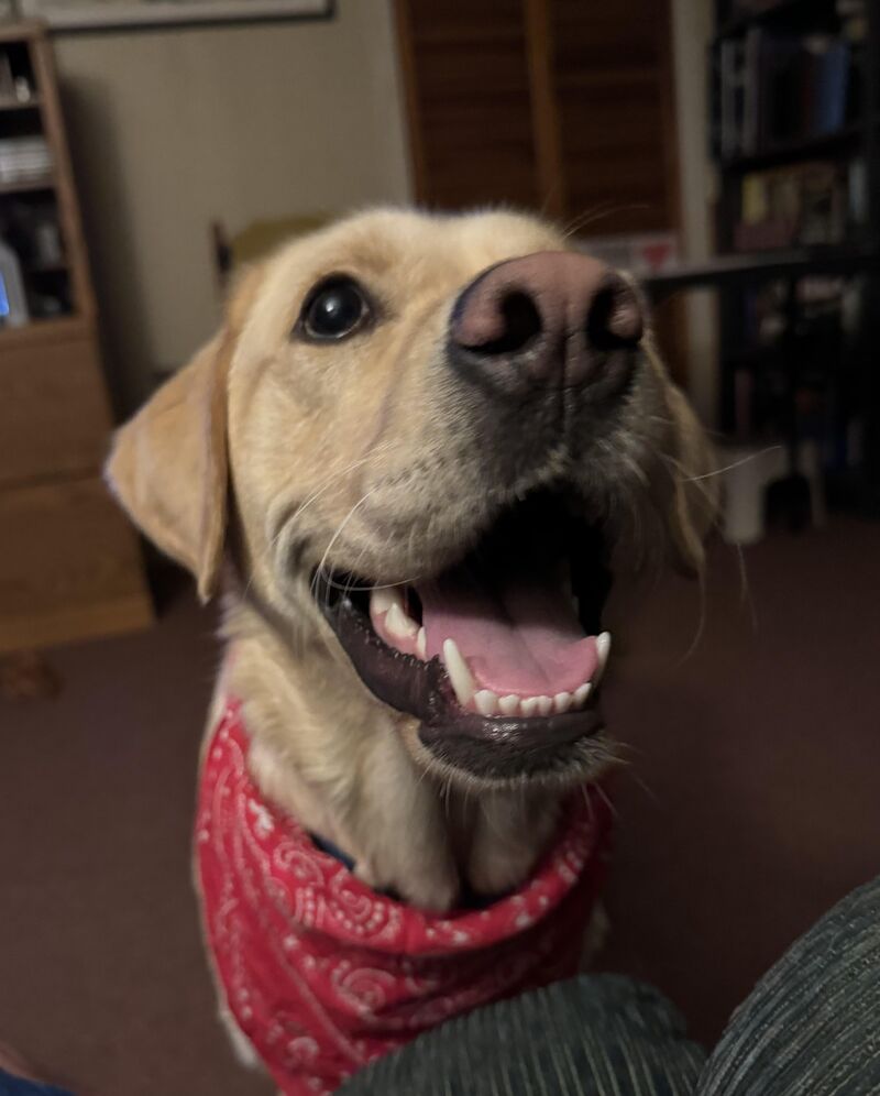 Luna is one happy girl