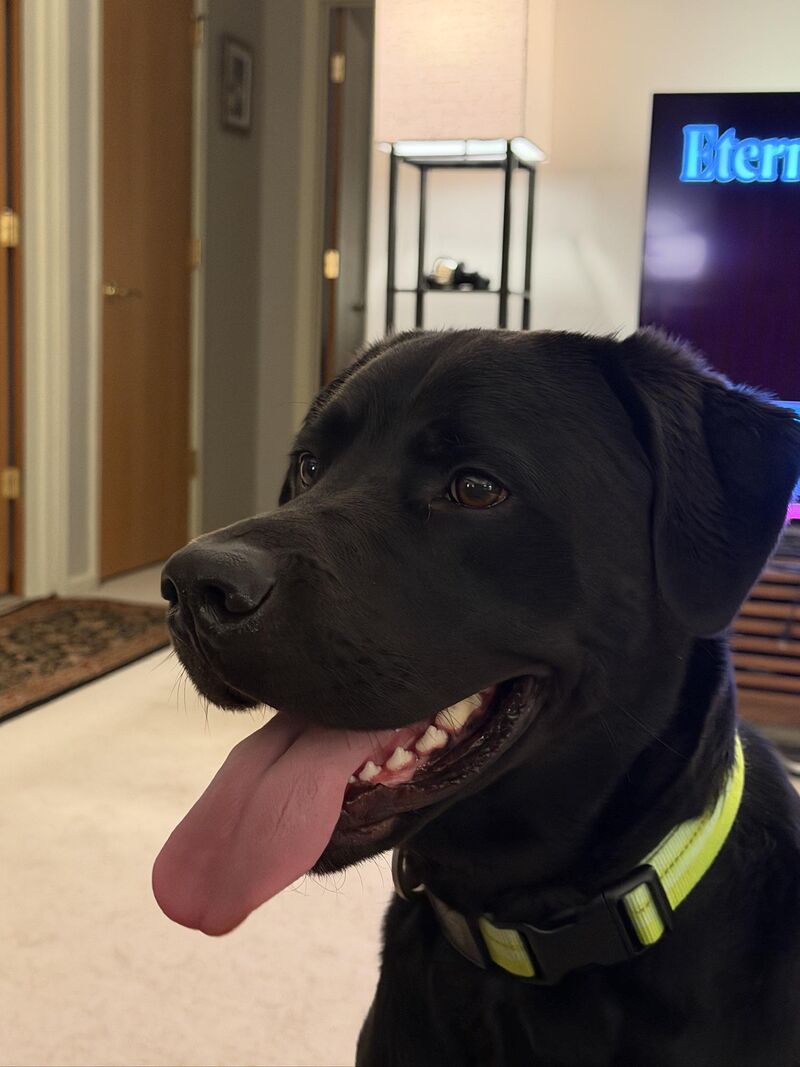 Good morning everyone!