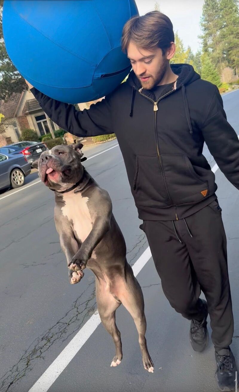 I Like Big Balls! I Cannot Lie!