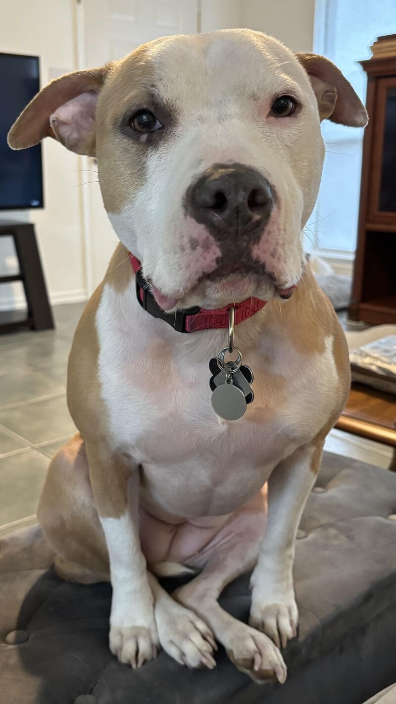 Billie’s exemplary pit sit