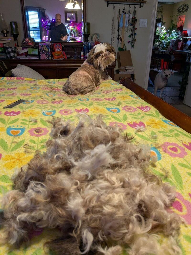 You have three seconds to figure out why this picture is in this sub...