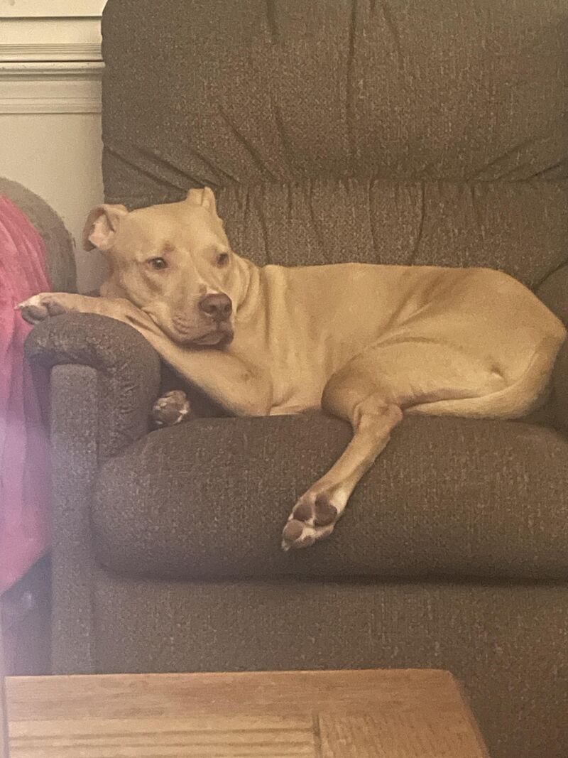 So comfortable and precious.