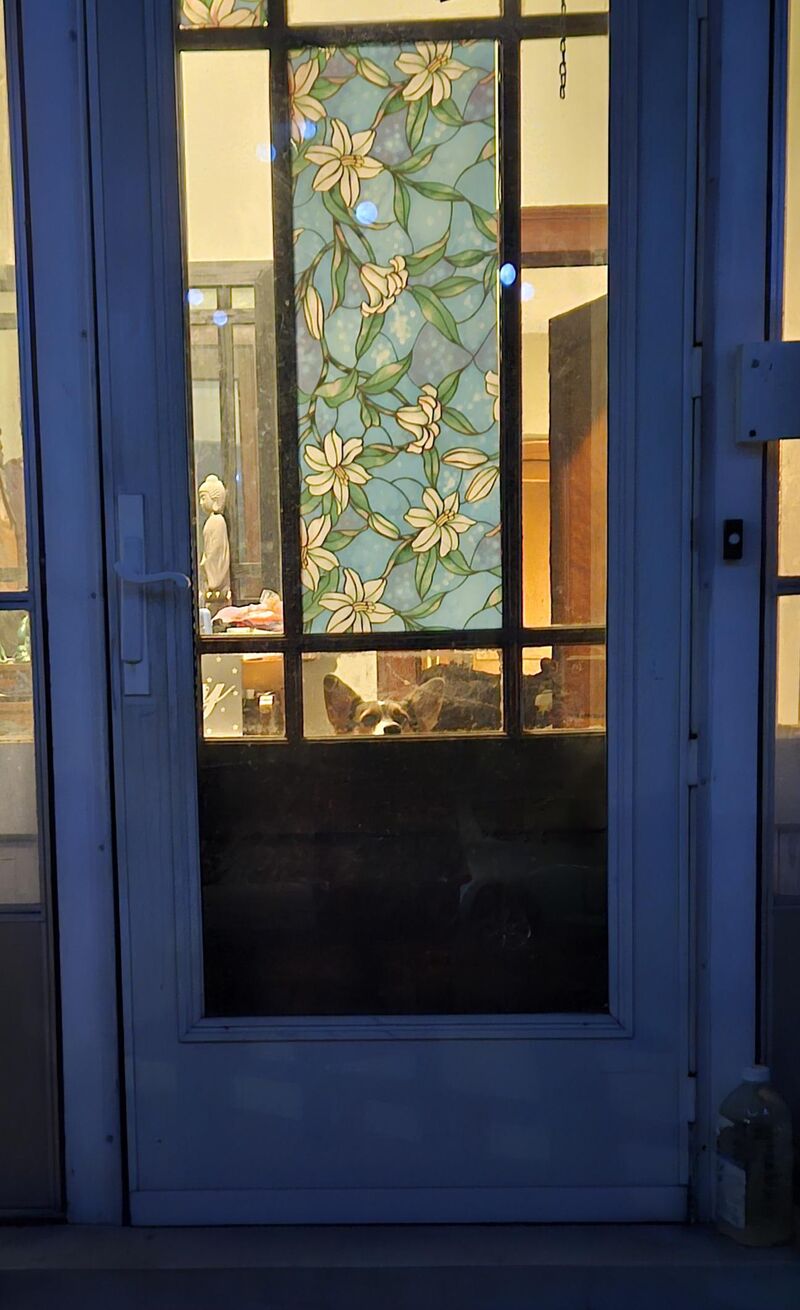 Every day when I get home from work.