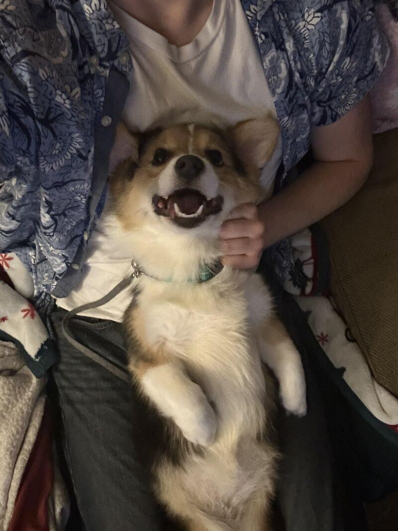 Mipha in absolute bliss