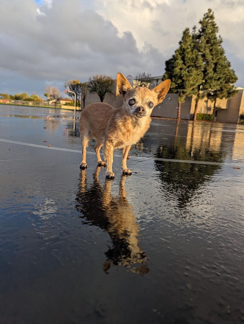 Not happy with the rain today