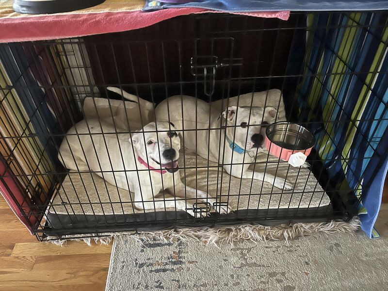 They love each other!