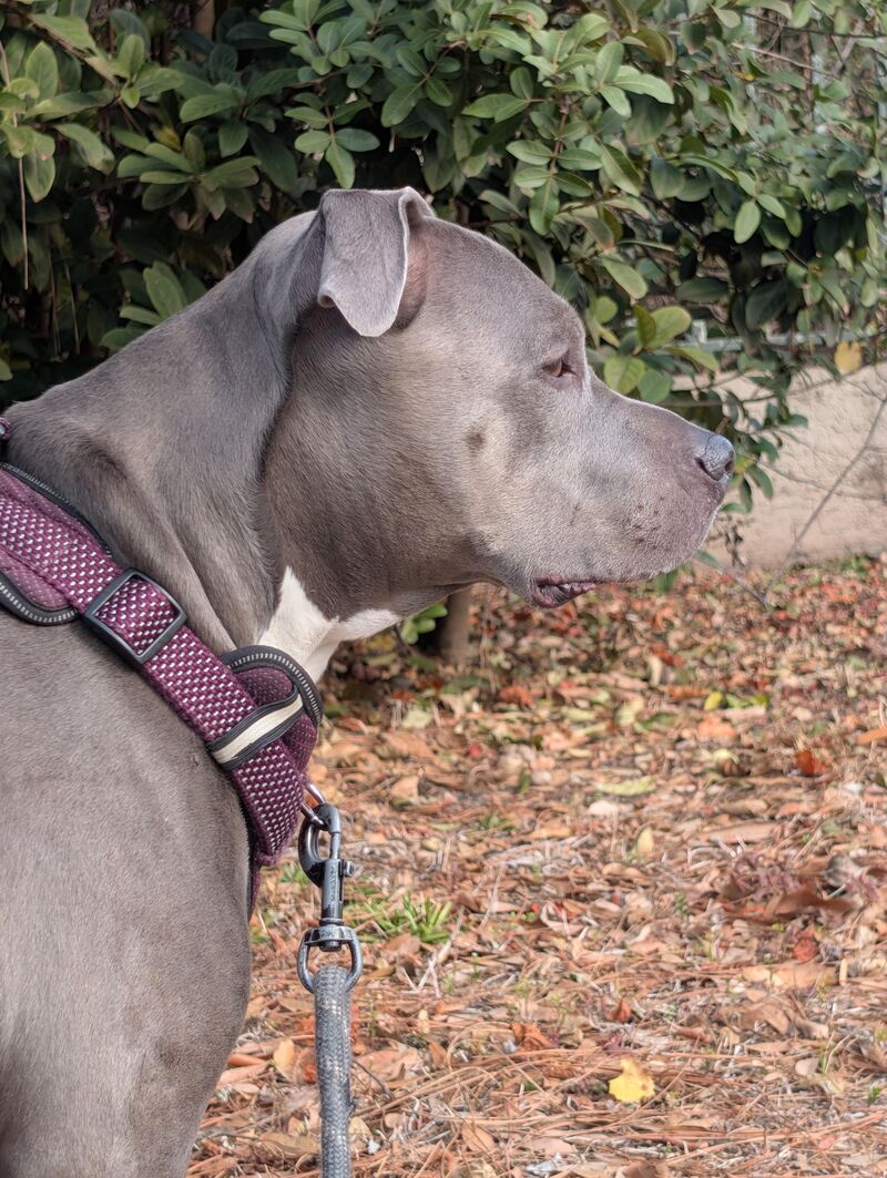 My senior girl. 🥰