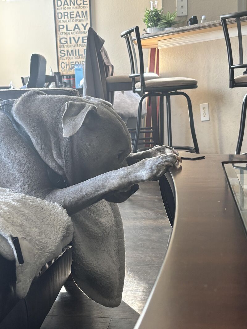 That does not look level