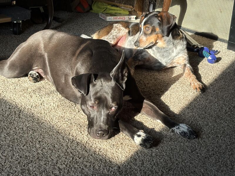 Just couple of best good babies