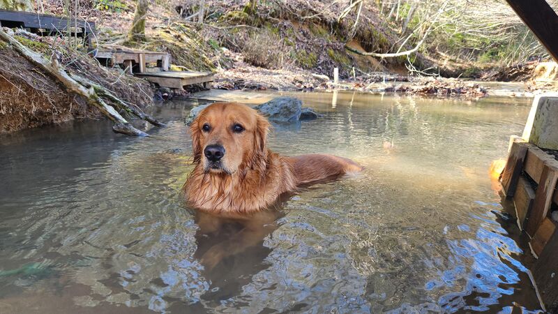 John in his natural habitat