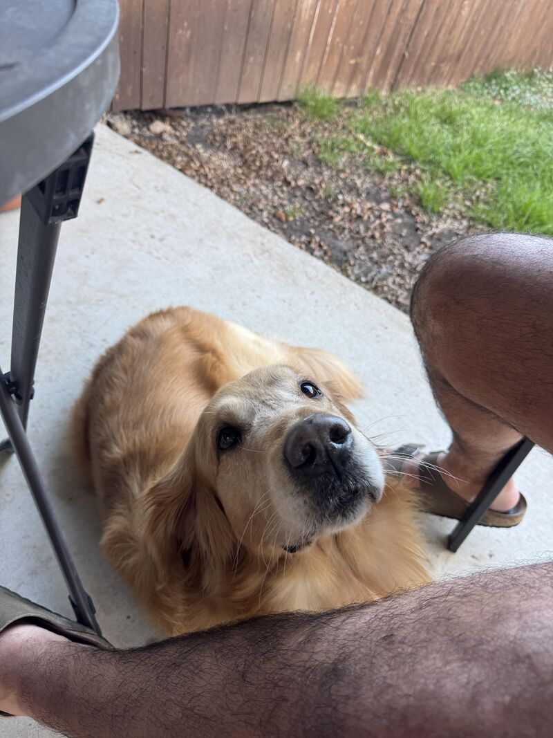 Angels sent from above