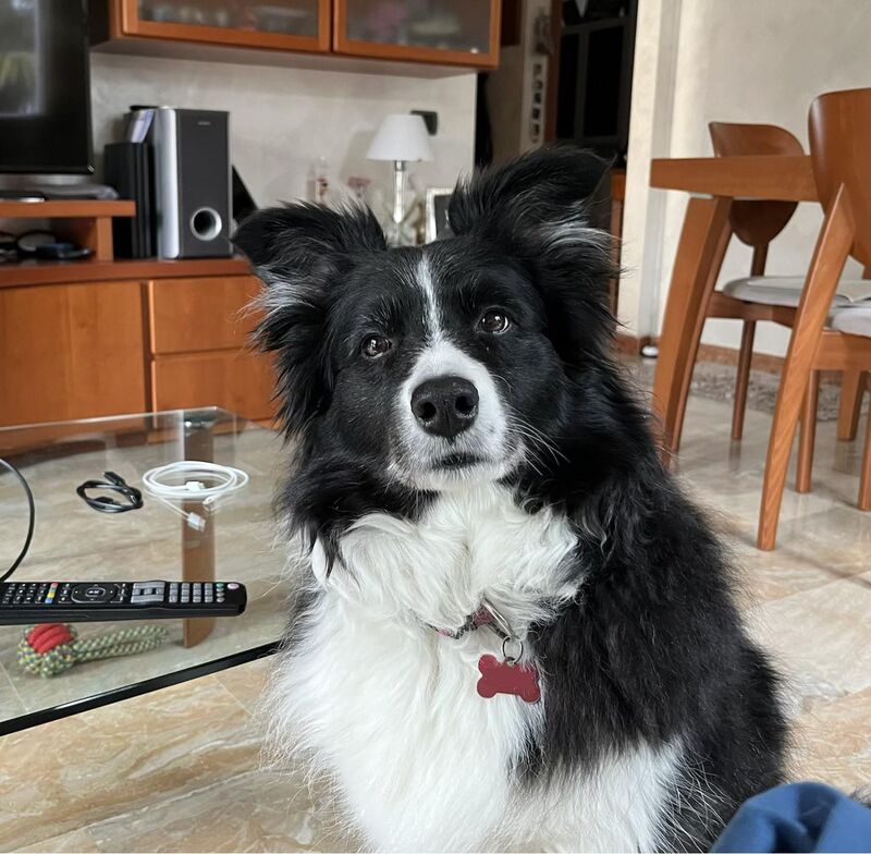 I feel like I'm being observed.