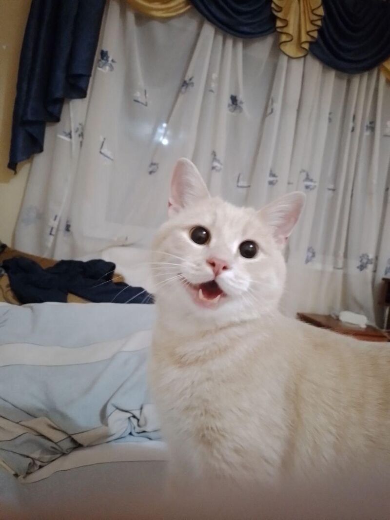 I think he has something to say