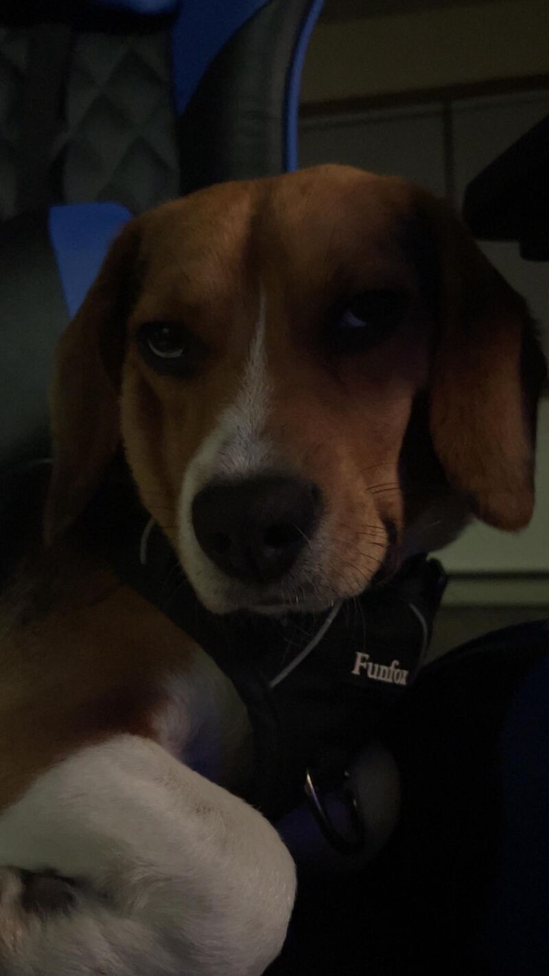 Don’t you just love being judged?