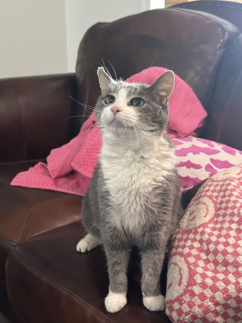 My 14 year old wobbly baby turns 15 this month! Still going strong, and is flopping around more than ever (but very fairy and delicate like in her movements) I love her so much.