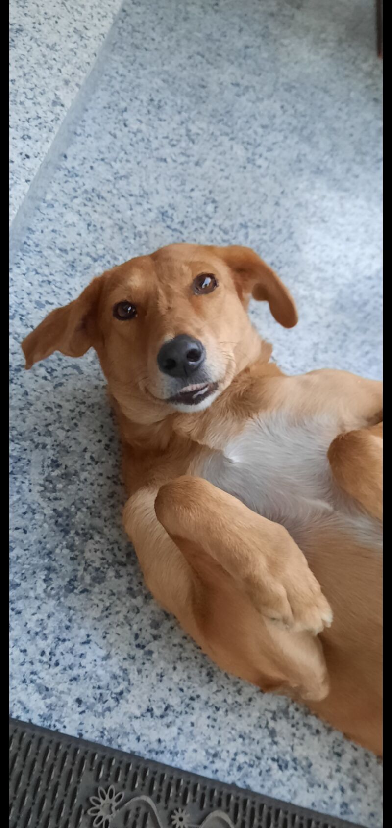 This face could end wars