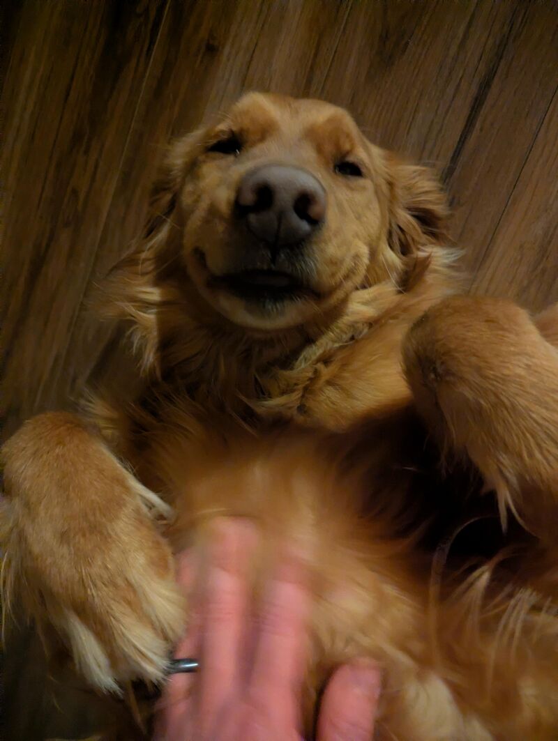 She's got that cartoon smile.